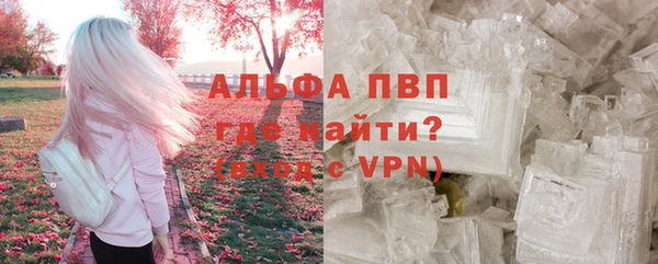 эйфоретик Корсаков