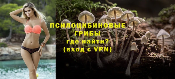 кокс Костерёво